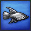 Platy Specialist