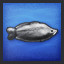 Rainbowfish Specialist