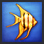 Angelfish Master