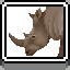 Rhinoceros