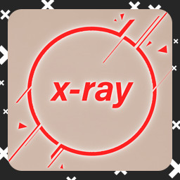 X-ray everything