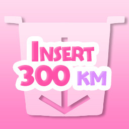 Insert 300 km