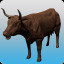 Aid of Cattles (A)