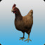 Aid of Chickens (C)