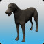 Aid of Celtic Wolfhounds