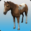 Aid of Horses (A)