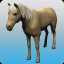 Aid of Horses (B)