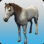 Aid of Horses (C)