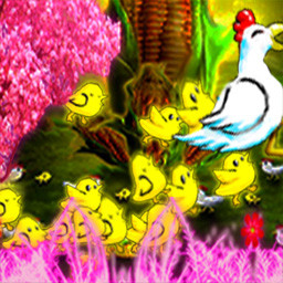 Chicken Legion - Chicks and Chickens United!