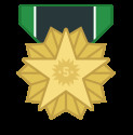 Medal 11