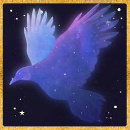 Crow