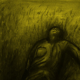 Body of evidence