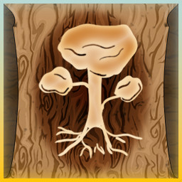Delayed Development Druid