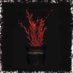 Wait that's illegal.