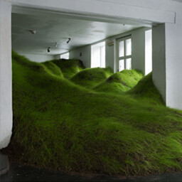 Grass Rooms
