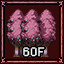 Easy-Misty Forest Hell 60F