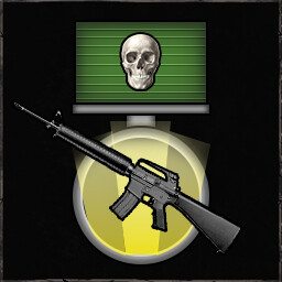 M16 Expert