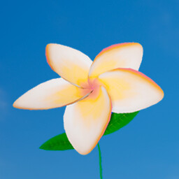Frangipani