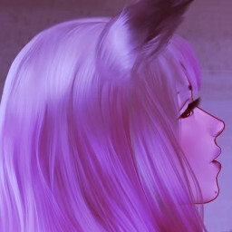 Catgirl Purrfection
