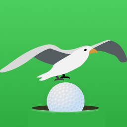 Albatross