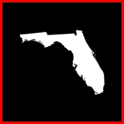The 305