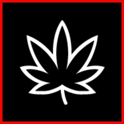 Stoner