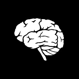 Big Brain