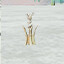 Find totem