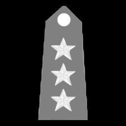 Lieutenant General