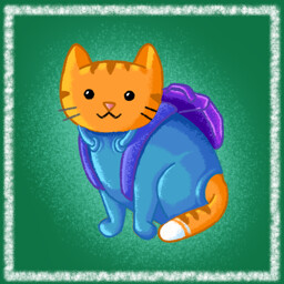 The Catter Space