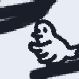 20 Birds