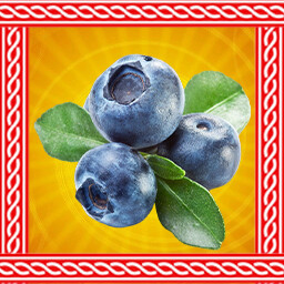 Blueberry