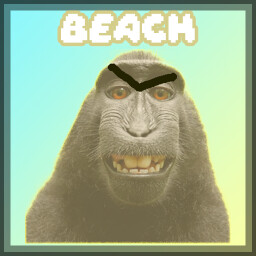 Beach Monkey