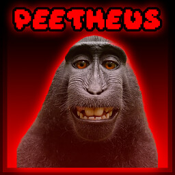 Peetheus