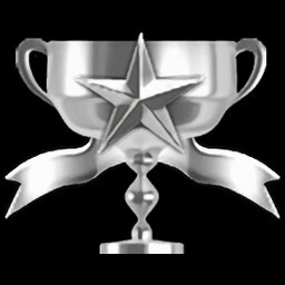 Stage 14 Expert Service