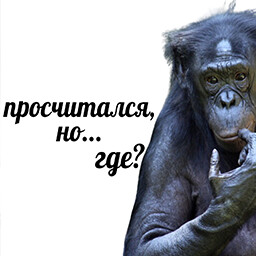 ПРОСЧИТАЛСЯ