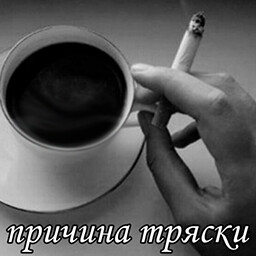 ПРИЧИНА ТРЯСКИ?