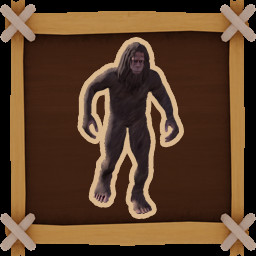 Bigfoot Photograph