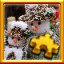 Snowmen Complete!