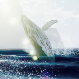 Save the Whales