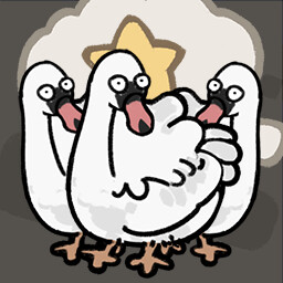 In Flocks