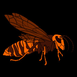 Vespa mandarinia
