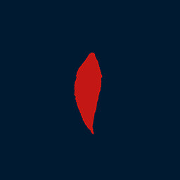 Fish’s Apprentice