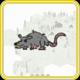 Rat