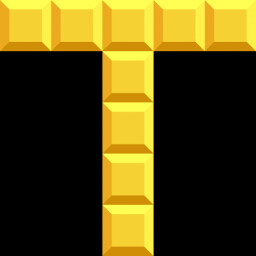 T2