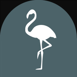 Flamingo Flamenco