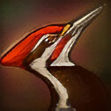 Woody Woodpecker