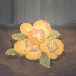 Plant Flowers