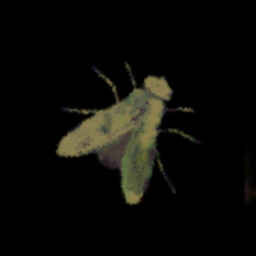 Entomologist