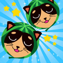 Double CatMelon!